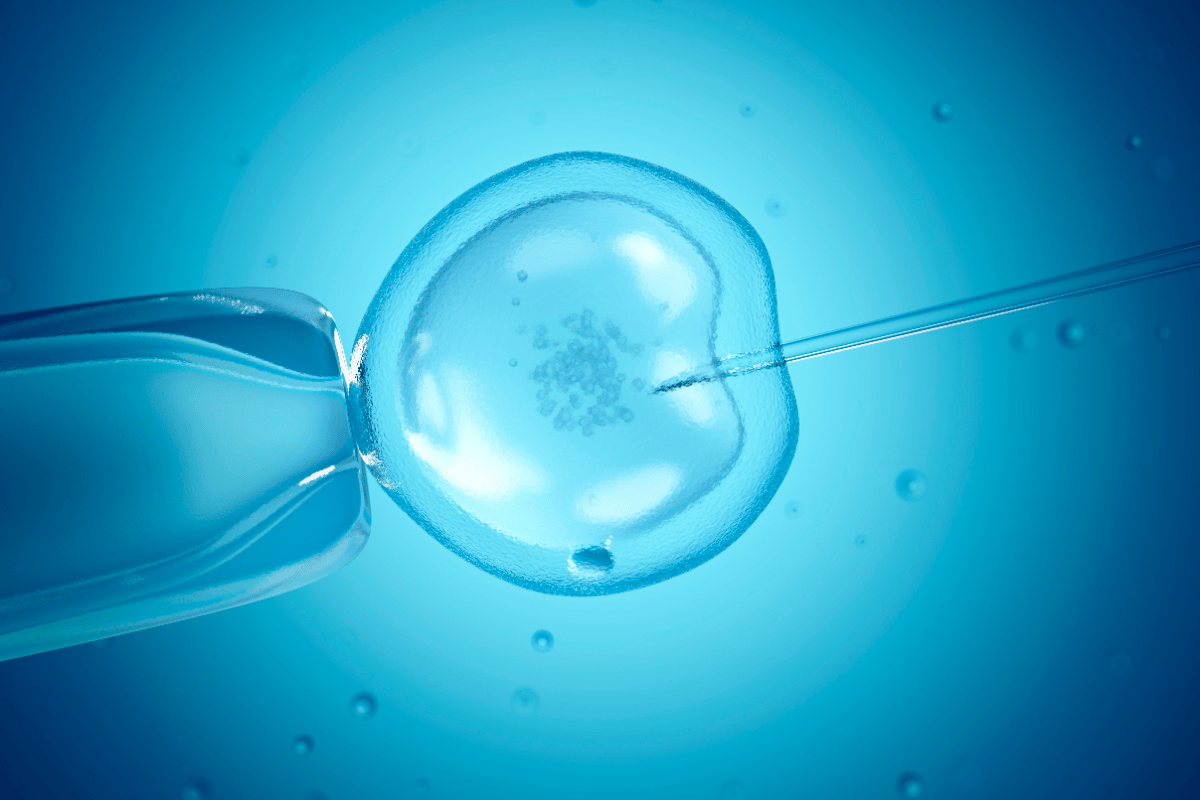 What Is Egg Freezing 6 Things You Need To Know 
