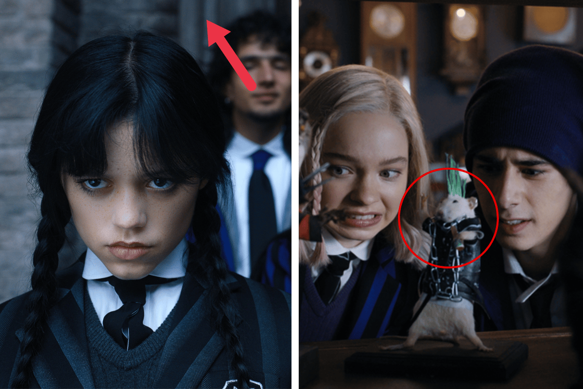 Netflix's Wednesday: The easter eggs you may have missed