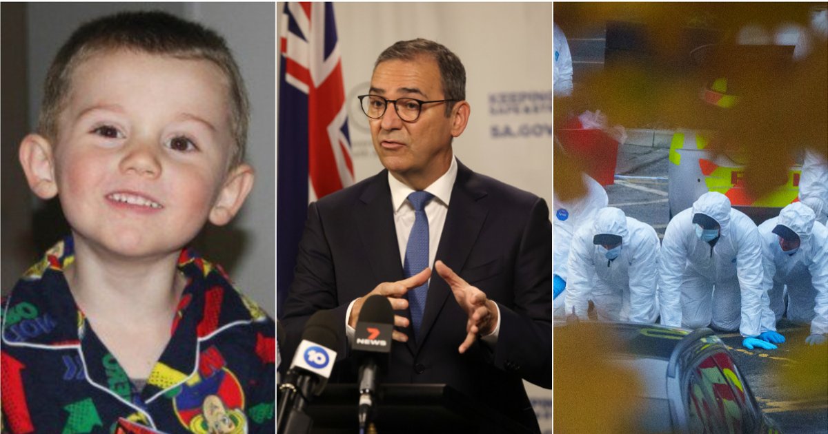 William Tyrrell foster parents issued AVO.