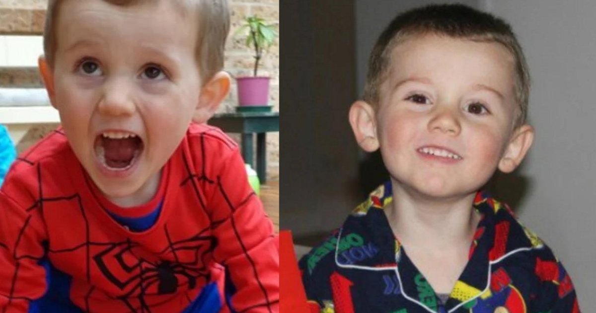 William Tyrrell case: Inside the 8-year investigation.