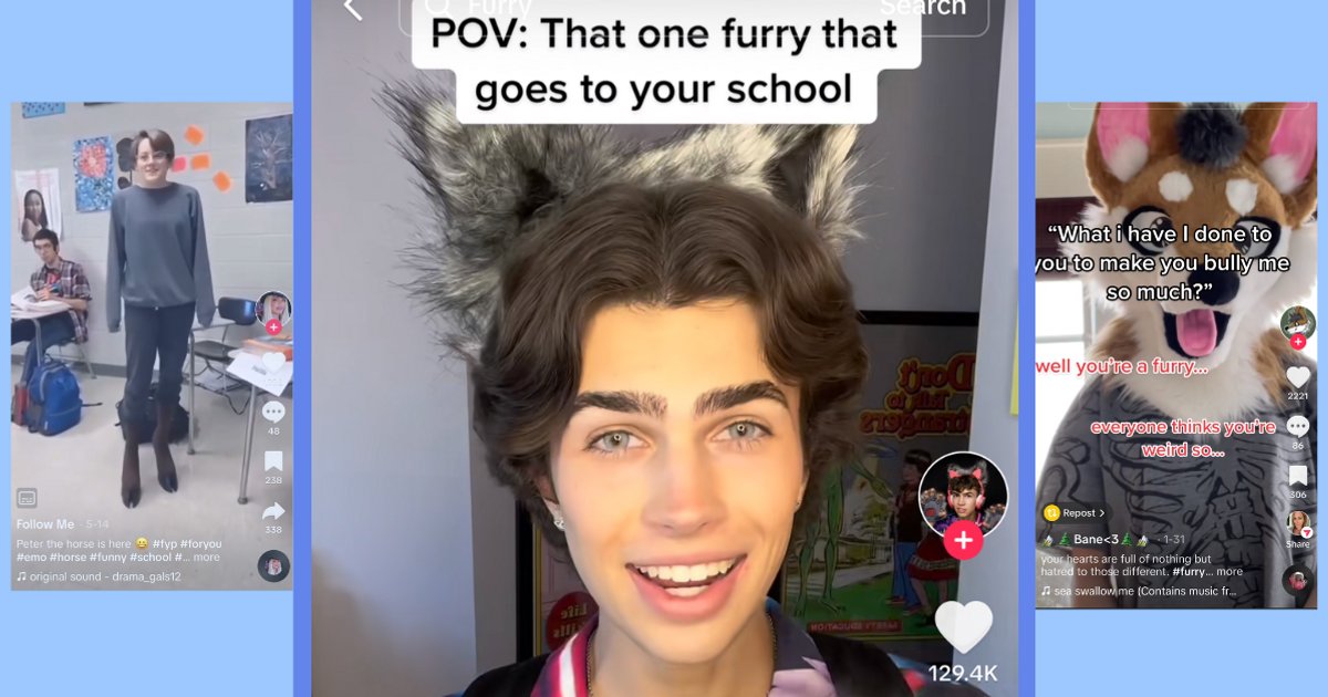 why neko girls are not furries｜TikTok Search