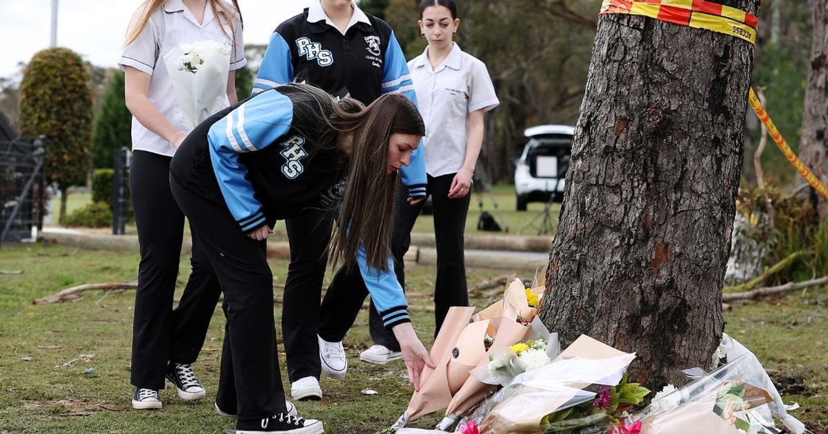 "It Is Extremely Distressing." Everything We Know About The NSW Crash ...