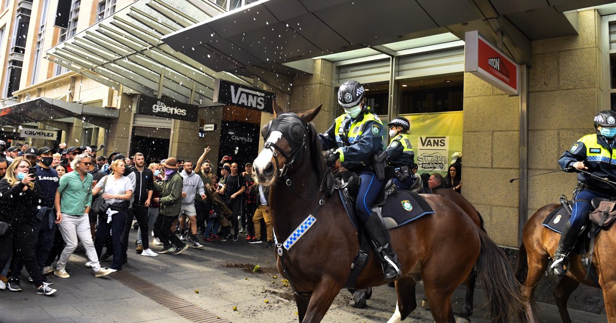 Man punches horse at protest: What really happened? - Vimarsana News