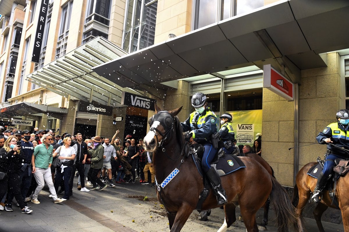 Man punches horse protest: What really happened?