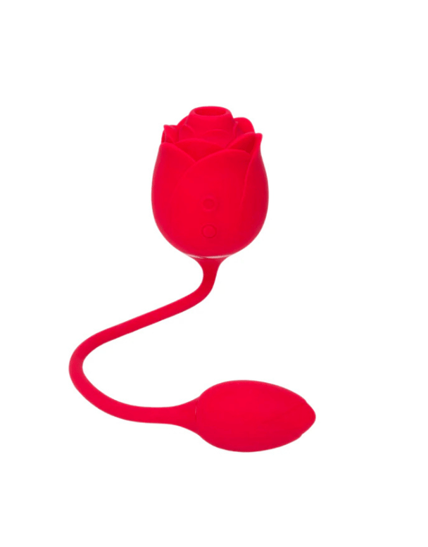 The 14 best sex toys to buy in the Black Friday sales. The 14 best sex toys to buy in the Black Friday sales.