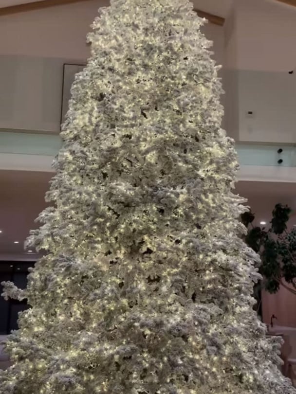 A huge Christmas tree with white, snow-like dusting on top.