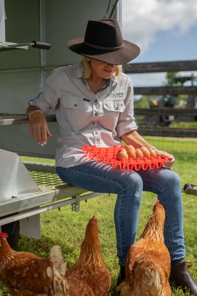 A woman collecting eggs from hens on a farm.