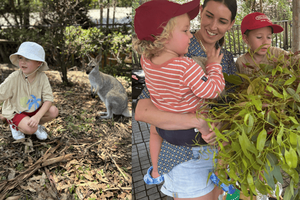 What to do with kids in Brisbane: Lone Pine Koala Sanctuary