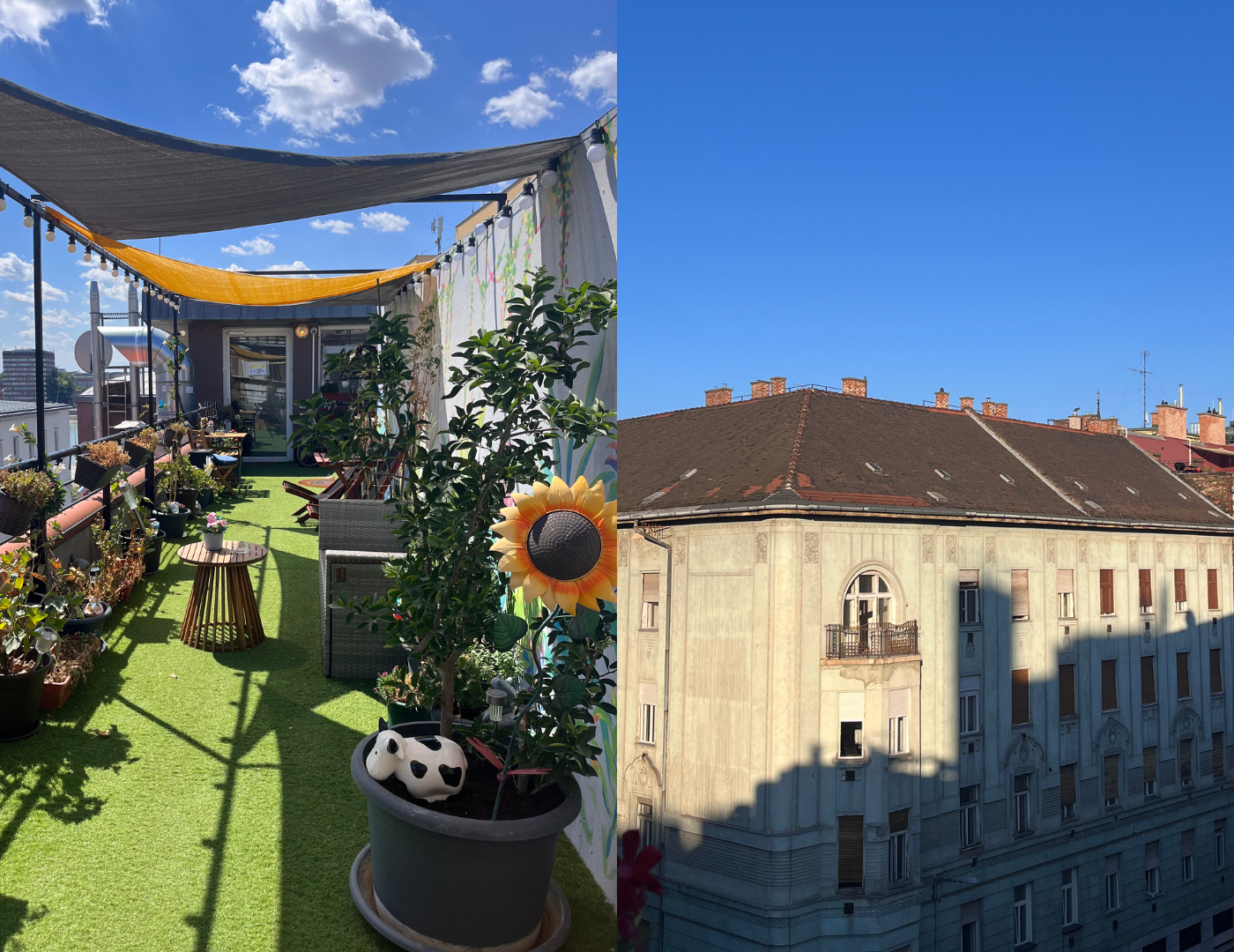 Maverick Central Market Hostel.