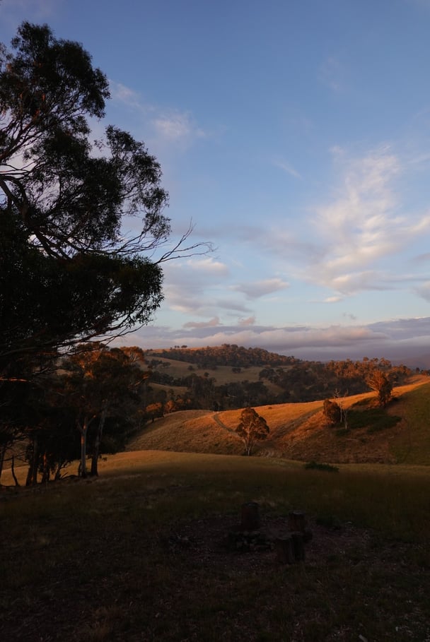 The view from the cabin during sunset.