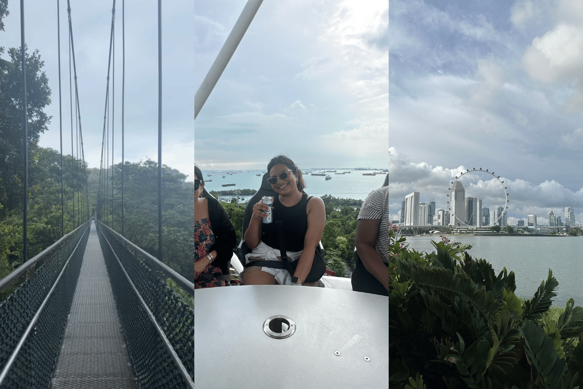 MacRitchie Treetop Walk, Sentosa & Singapore city.