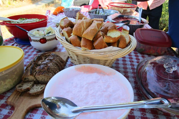 Bring a plate picnic