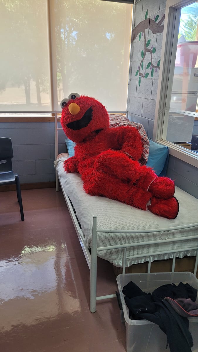 elmo mascot costume