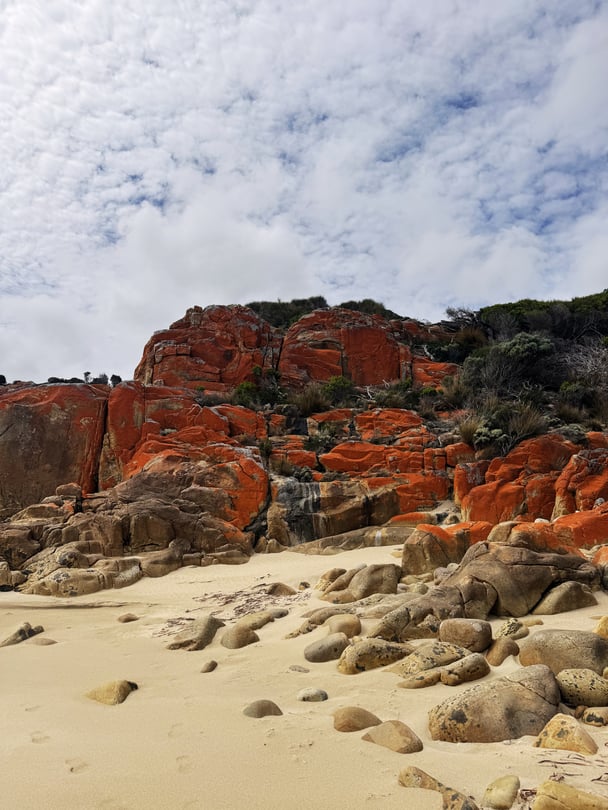 Fiery lichen on granite at Flinders Island, Tasmania.