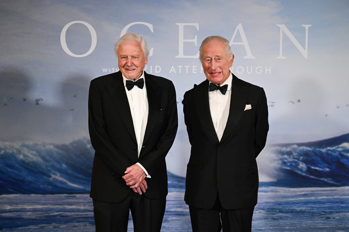 David Attenborough and King Charles III attend the 