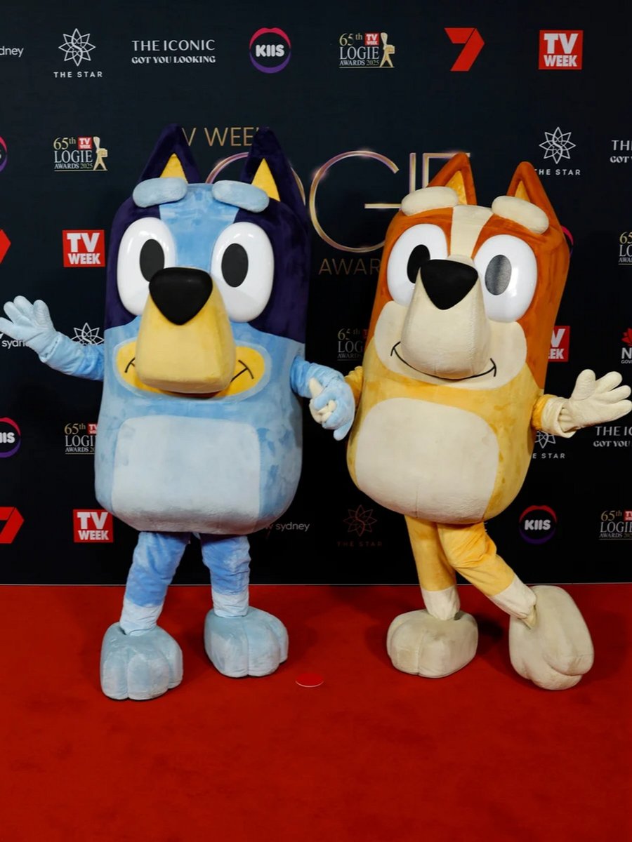 Bluey and Bingo