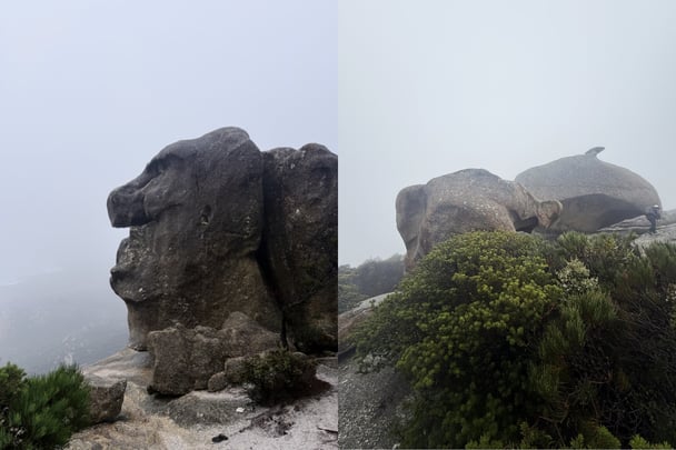 Granite boulders of all enormous shapes and sizes at Mt Killiecrankie on Flinders Island, Tasmania.