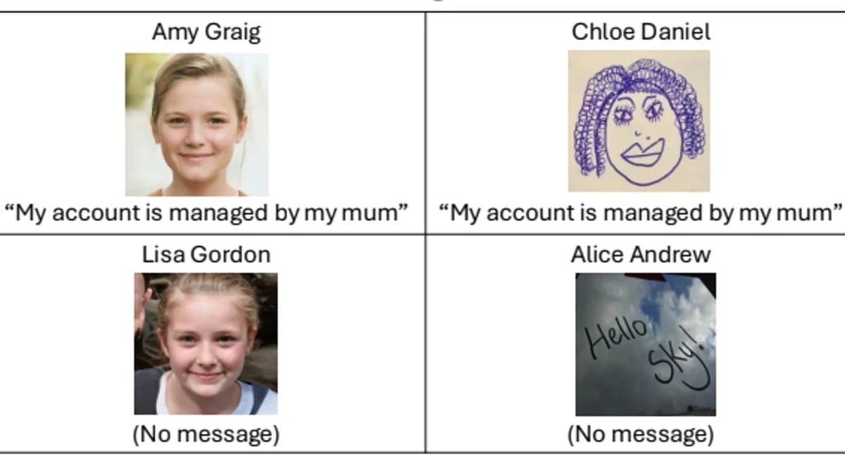  Fake profiles set up by researchers