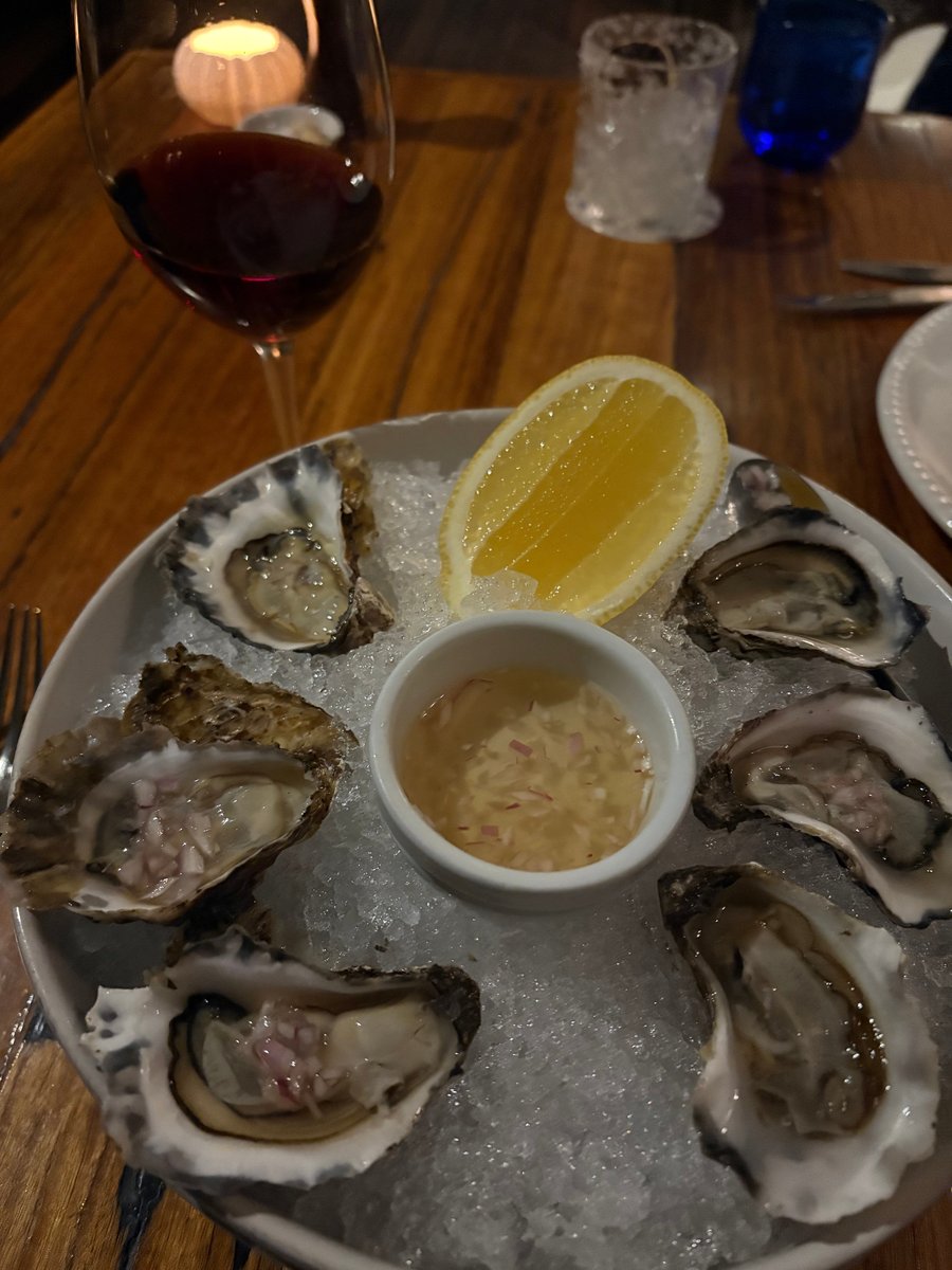 Oysters and red wine at The Wildflower Bar and Dining at Killcare, NSW.