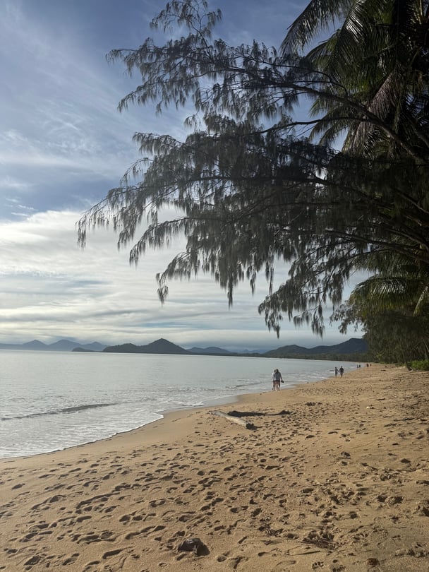 Beach with trees and mountains in the distance.