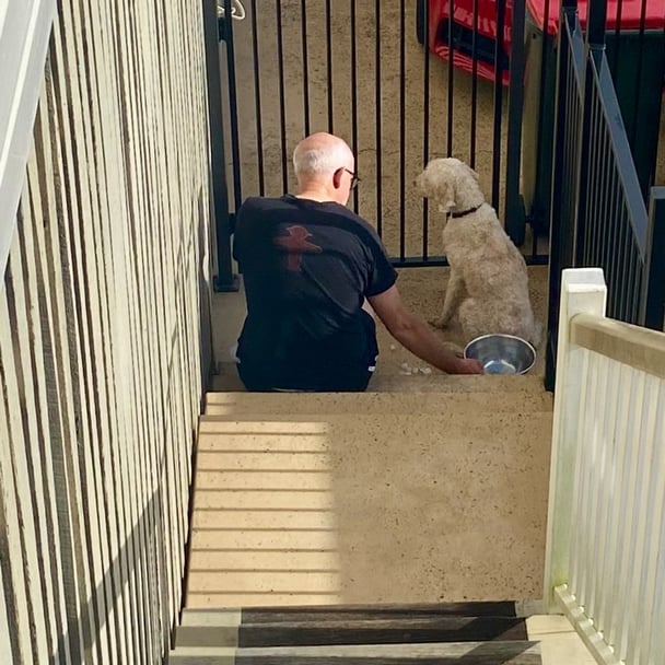 A man and a dog sit at the bottom of a set of stairs, facing away from the camera.
