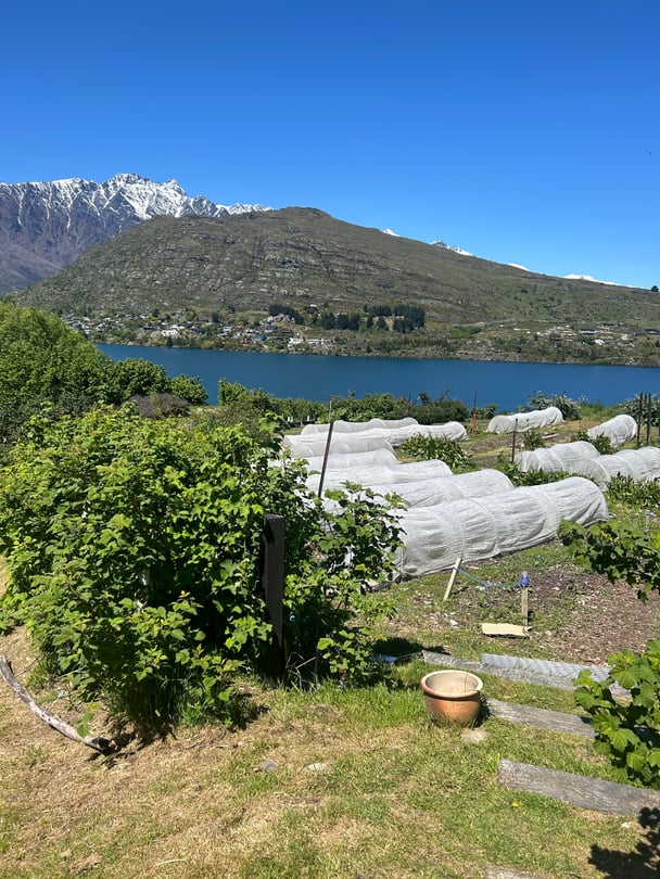 The vibrant gardens at Hotel Sherwood, overlooking a mountain view.
