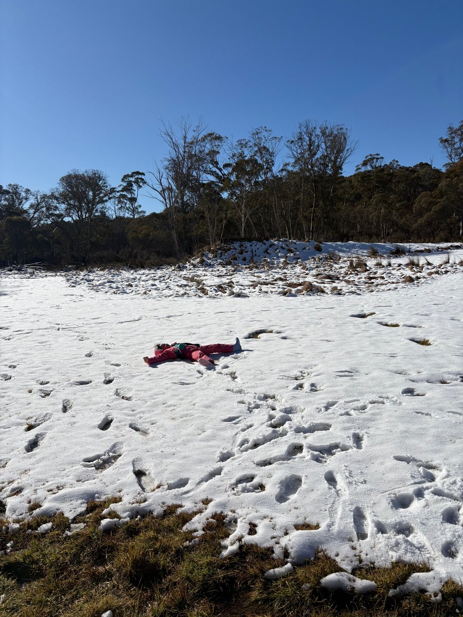 A young child creates snow angels.