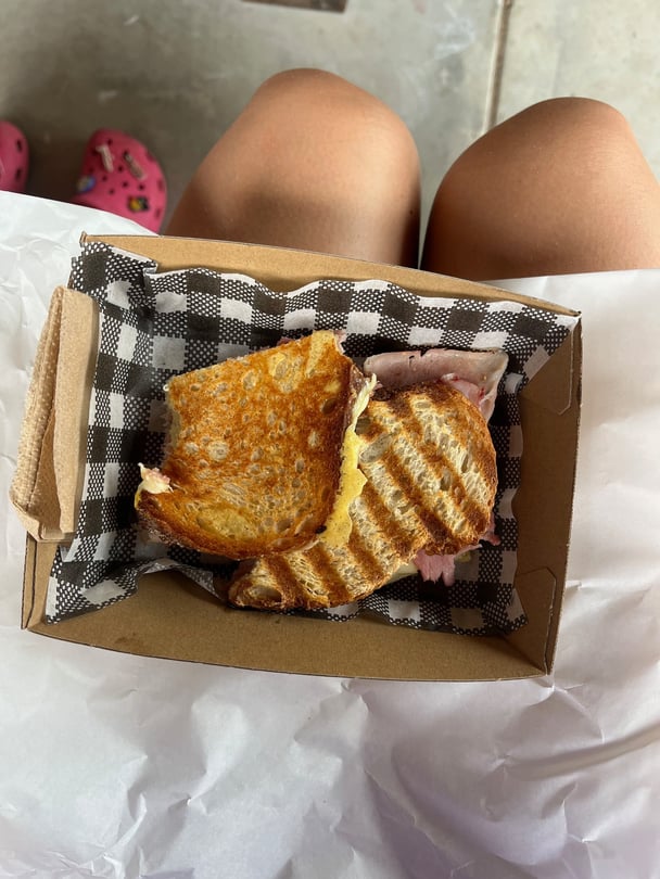 A toasted cheese sandwich.