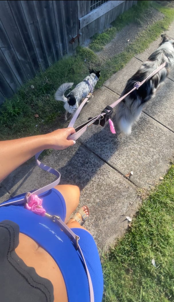 A woman walks her two dogs.
