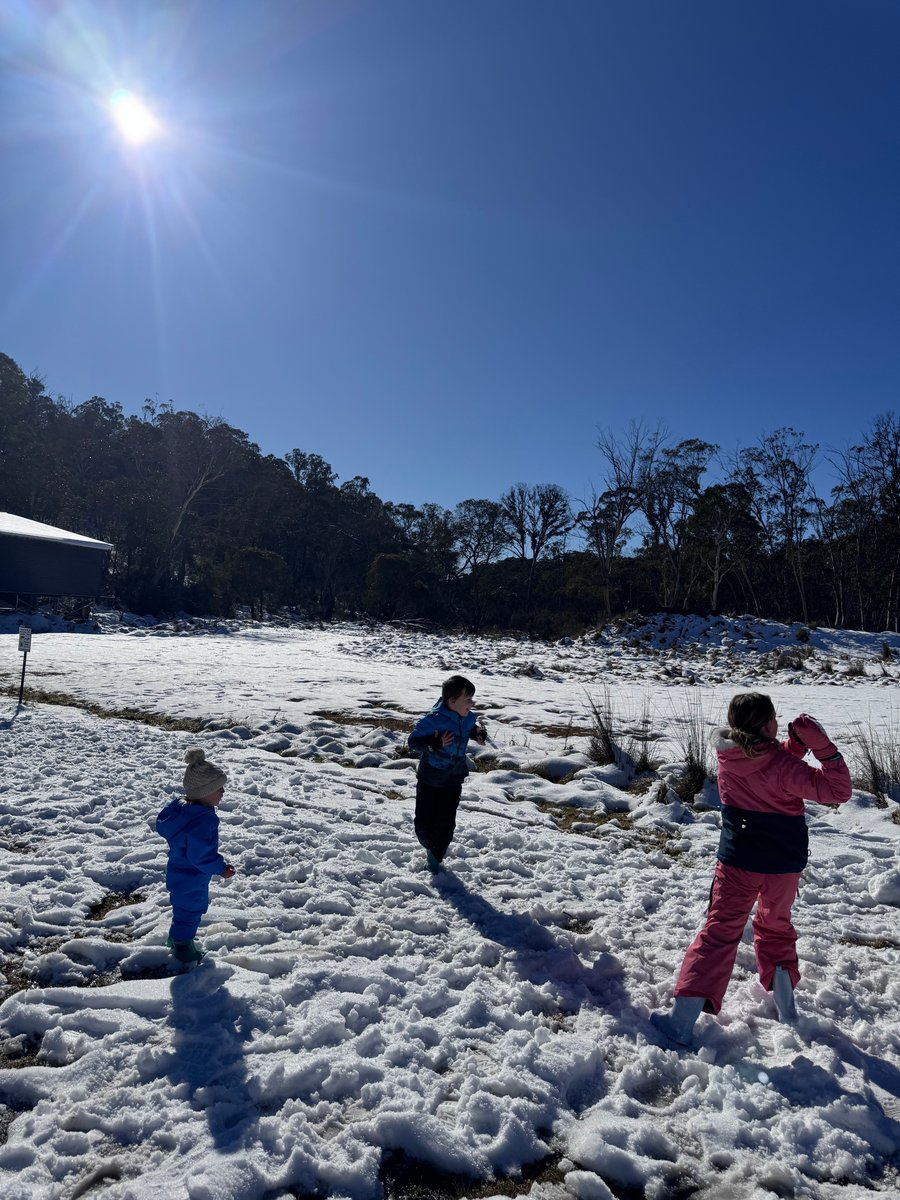 Three young children play excitedly in snow.