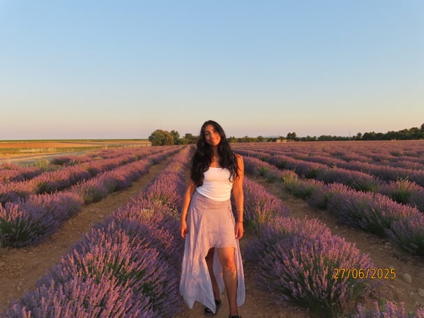 euro summer aix-en-provence south of france lavender fields