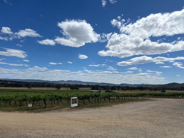 Robert Stein Winery views.