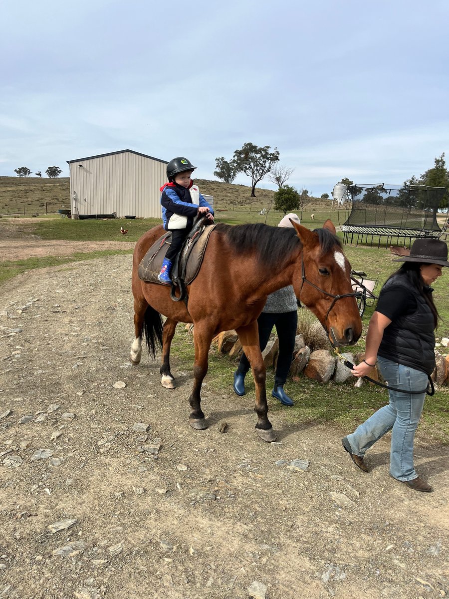 Toddler enjoying a horse ride during kid-friendly farm stay near Mudgee.