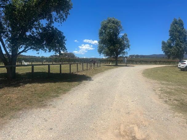 Down this winding road you'll find De Beaurepaire wineries.