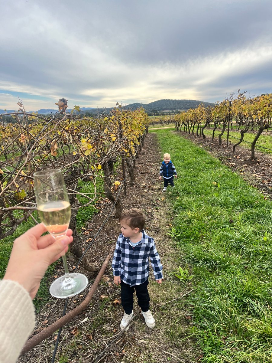 Parents wine tasting at Mudgee vineyard while kids explore the family-friendly grounds.