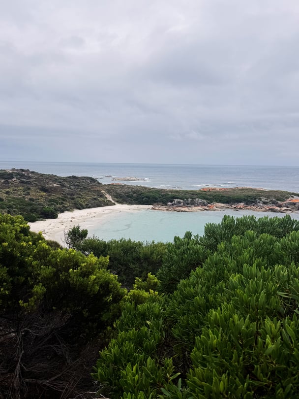 Jackson's Cove, a long, white, sandy beach at Flinders Island.
