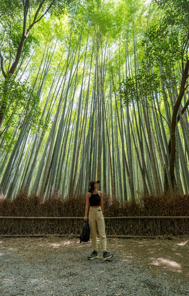 Arashiyama Bamboo Forest in Japan.