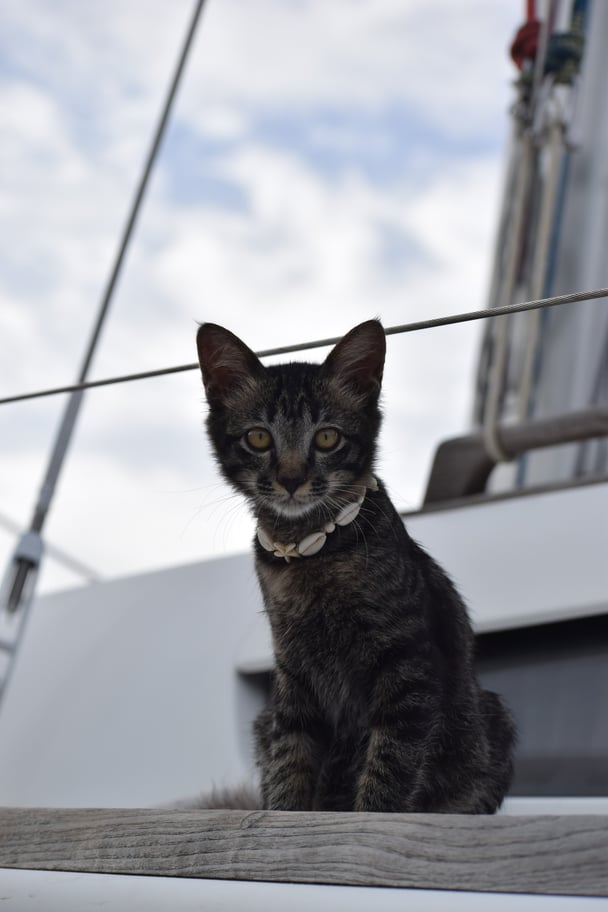 living in a sailboat reality