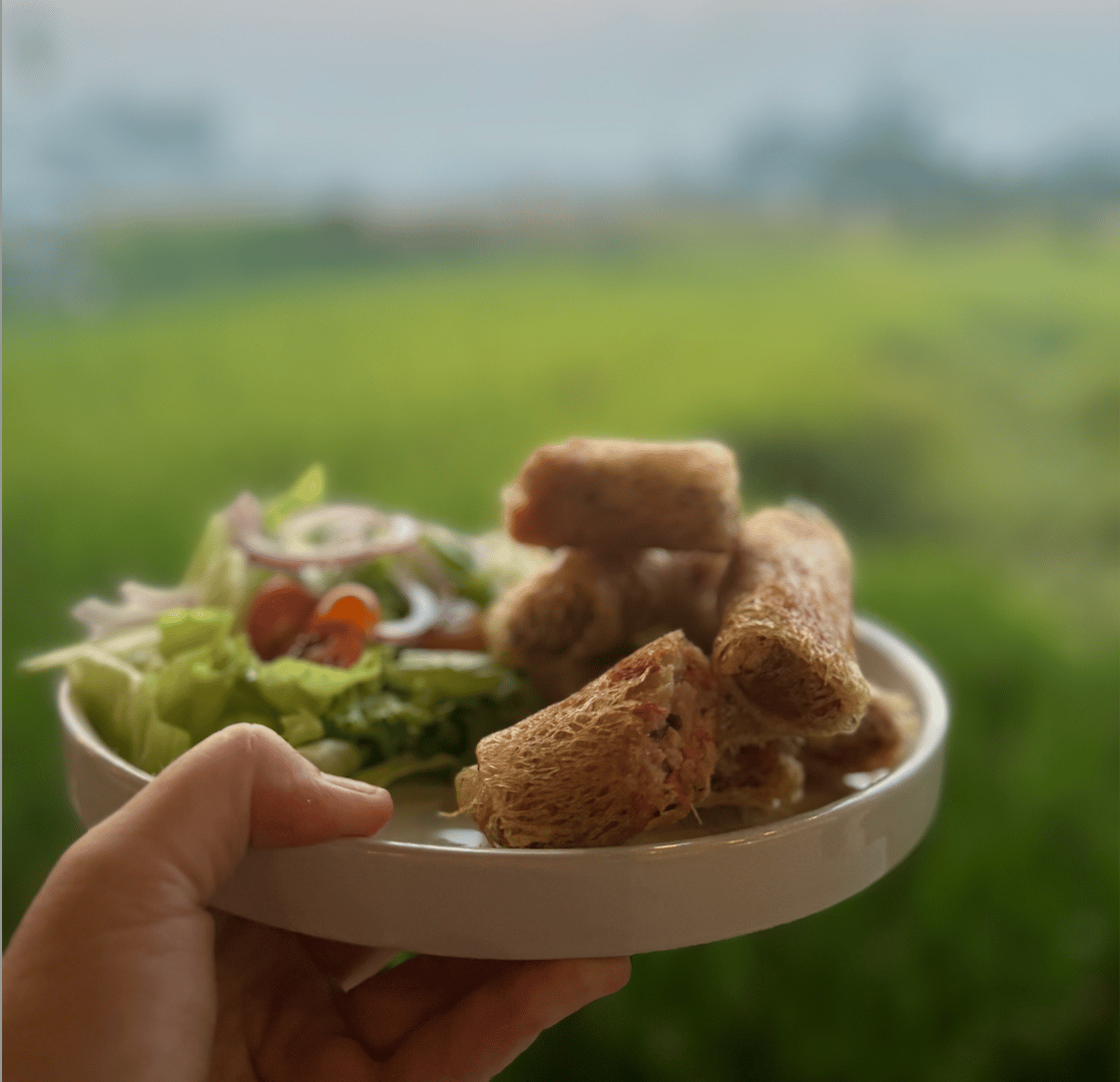 Vietnamese spring rolls on a small, clean plate.