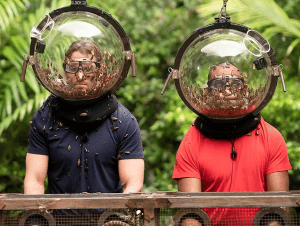 I'm A Celebrity's creepy insect challenge.