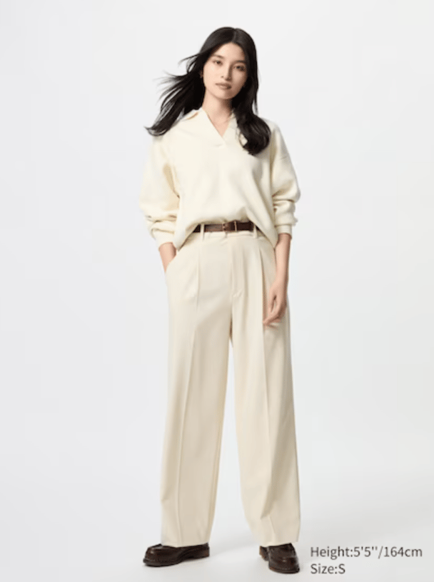 Uniqlo Pleated Wide Pants.