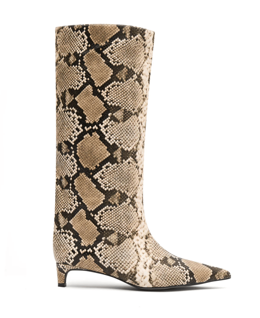 Author's Naked Vice boots.