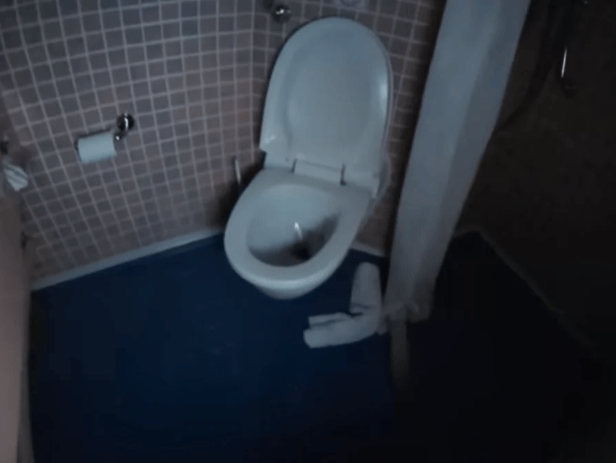 Poop Cruise