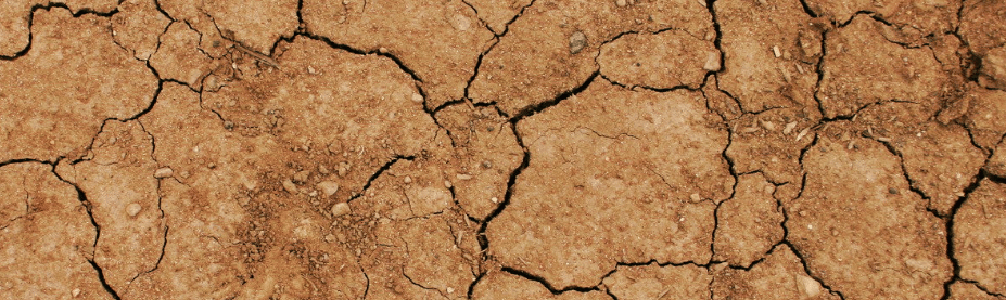 Photo of a dried up ground with cracks in it.