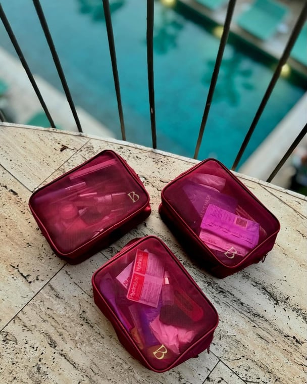 mesh insert bags