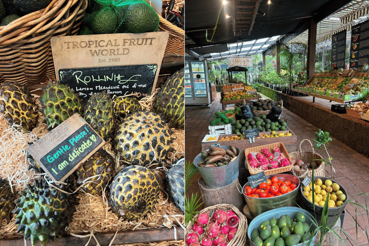 Colourful assortment of fruits at Tropical Fruit World.