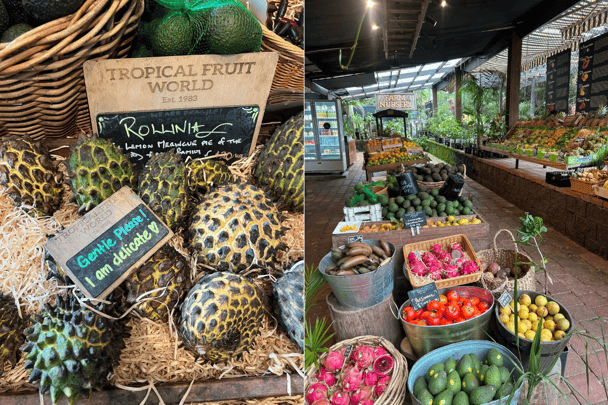 Colourful assortment of fruits at Tropical Fruit World.