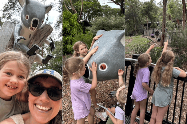 The Port Stephens Koala Sanctuary in Anna Bay.