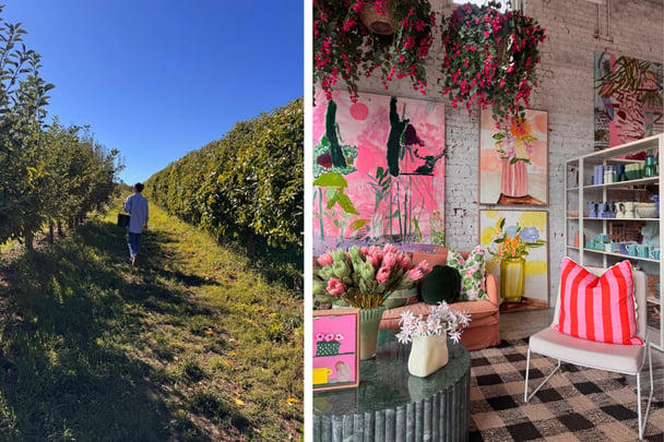 Pick apples at Hillside Harvest, or visit boutiques like Jumbled. Image: Supplied.