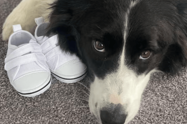 Origi poses with some little baby shoes. to announce Ash Barty's first pregnancy.